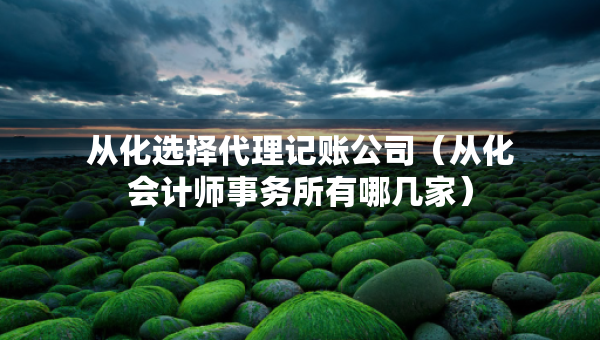 從化選擇代理記賬公司（從化會計師事務(wù)所有哪幾家）