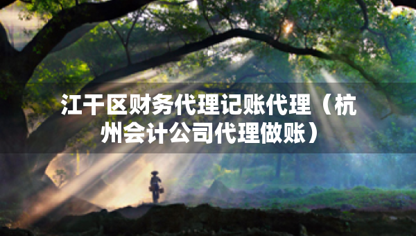 江干區(qū)財(cái)務(wù)代理記賬代理（杭州會(huì)計(jì)公司代理做賬）