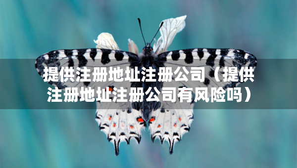 提供注冊(cè)地址注冊(cè)公司（提供注冊(cè)地址注冊(cè)公司有風(fēng)險(xiǎn)嗎）