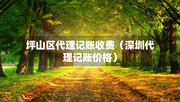 坪山區(qū)代理記賬收費(fèi)（深圳代理記賬價格）