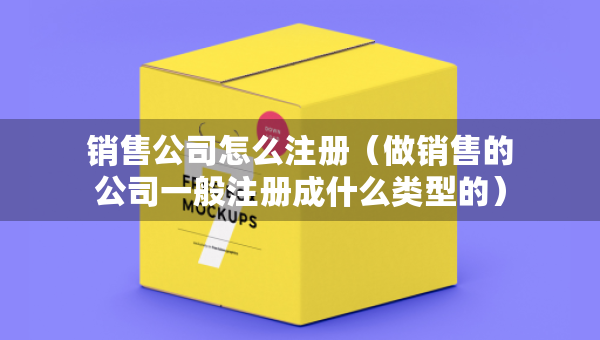 銷售公司怎么注冊(cè)（做銷售的公司一般注冊(cè)成什么類型的）