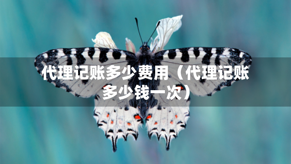 代理記賬多少費(fèi)用（代理記賬多少錢一次）
