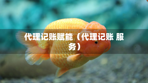 代理記賬賦能（代理記賬 服務）