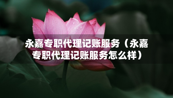 永嘉專職代理記賬服務(wù)（永嘉專職代理記賬服務(wù)怎么樣）