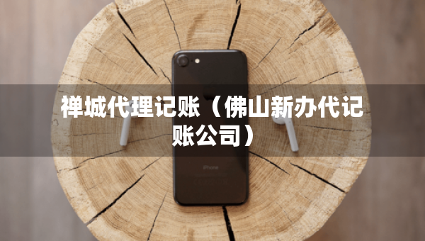 禪城代理記賬（佛山新辦代記賬公司）