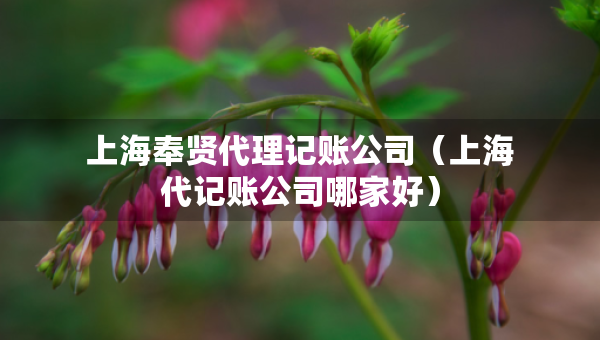 上海奉賢代理記賬公司（上海代記賬公司哪家好）