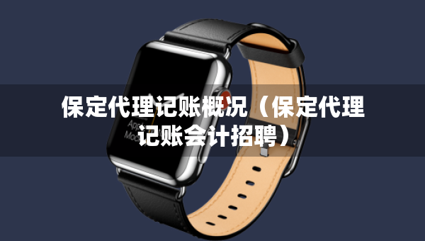 保定代理記賬概況（保定代理記賬會計招聘）