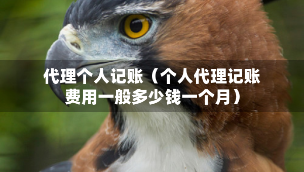 代理個人記賬（個人代理記賬費用一般多少錢一個月）