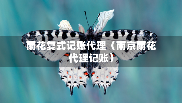 雨花復(fù)式記賬代理（南京雨花代理記賬）