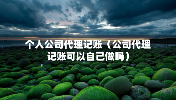個人公司代理記賬（公司代理記賬可以自己做嗎）