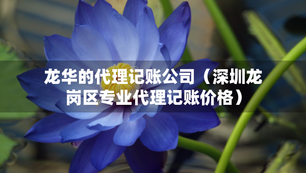 龍華的代理記賬公司（深圳龍崗區(qū)專業(yè)代理記賬價(jià)格）