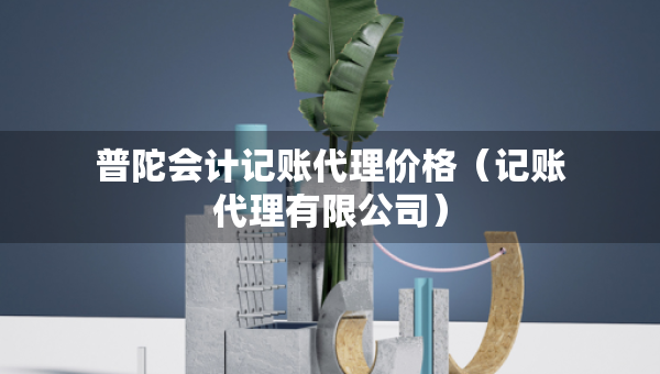 普陀會(huì)計(jì)記賬代理價(jià)格（記賬代理有限公司）