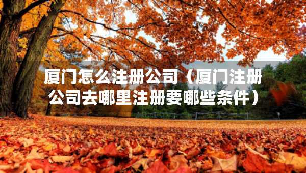 廈門怎么注冊(cè)公司（廈門注冊(cè)公司去哪里注冊(cè)要哪些條件）