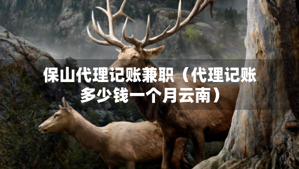 保山代理記賬兼職（代理記賬多少錢一個(gè)月云南）