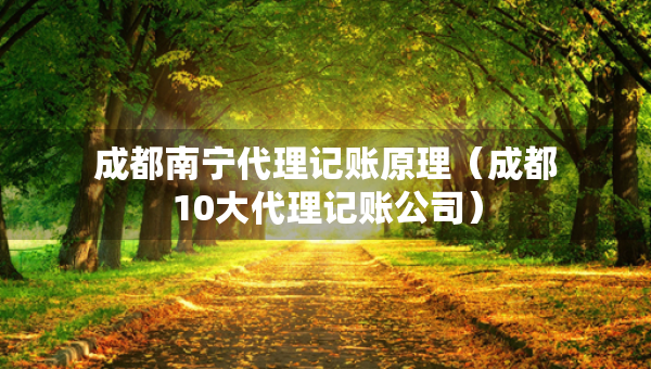 成都南寧代理記賬原理（成都10大代理記賬公司）