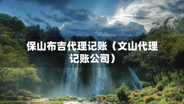保山布吉代理記賬（文山代理記賬公司）