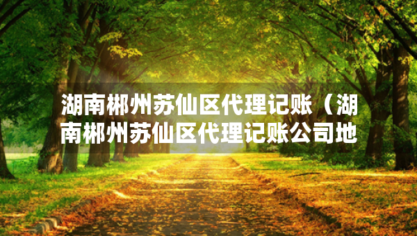 湖南郴州蘇仙區(qū)代理記賬（湖南郴州蘇仙區(qū)代理記賬公司地址）