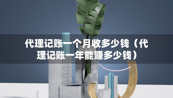 代理記賬一個月收多少錢（代理記賬一年能賺多少錢）