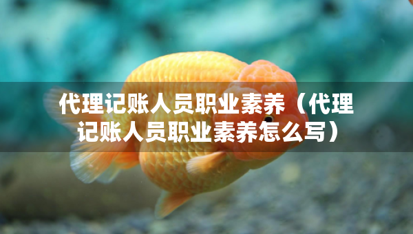 代理記賬人員職業(yè)素養(yǎng)（代理記賬人員職業(yè)素養(yǎng)怎么寫）