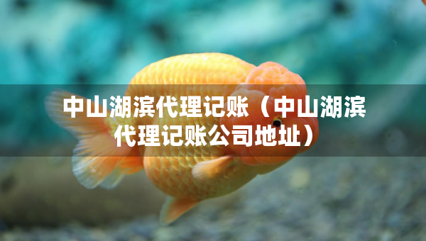 中山湖濱代理記賬（中山湖濱代理記賬公司地址）