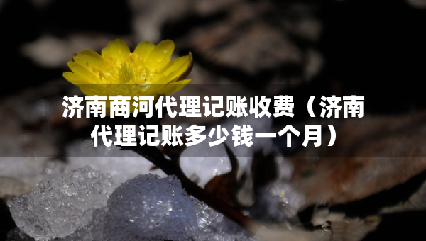 濟(jì)南商河代理記賬收費(fèi)（濟(jì)南代理記賬多少錢一個(gè)月）
