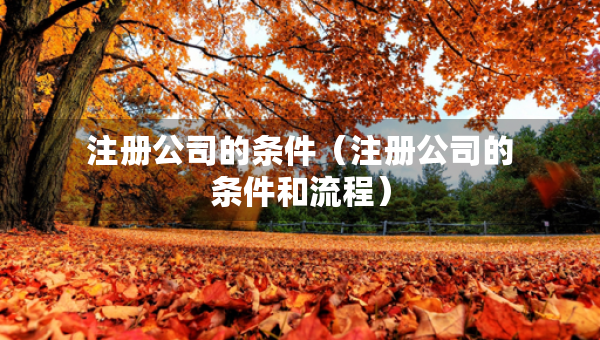 注冊(cè)公司的條件（注冊(cè)公司的條件和流程）