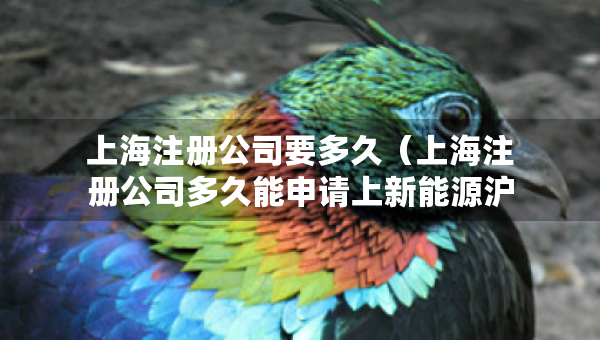 上海注冊(cè)公司要多久（上海注冊(cè)公司多久能申請(qǐng)上新能源滬牌嗎）
