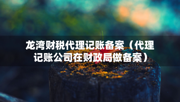 龍灣財(cái)稅代理記賬備案（代理記賬公司在財(cái)政局做備案）