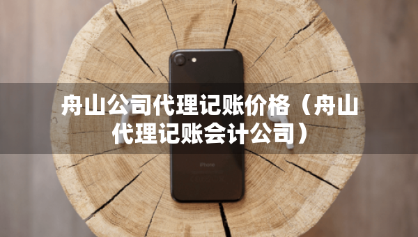 舟山公司代理記賬價格（舟山代理記賬會計公司）