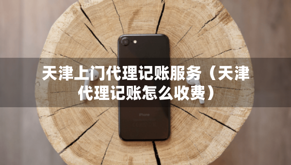 天津上門(mén)代理記賬服務(wù)（天津代理記賬怎么收費(fèi)）