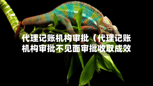 代理記賬機(jī)構(gòu)審批（代理記賬機(jī)構(gòu)審批不見面審批收取成效）