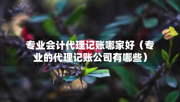 專業(yè)會計代理記賬哪家好（專業(yè)的代理記賬公司有哪些）