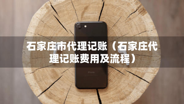 石家莊市代理記賬（石家莊代理記賬費(fèi)用及流程）