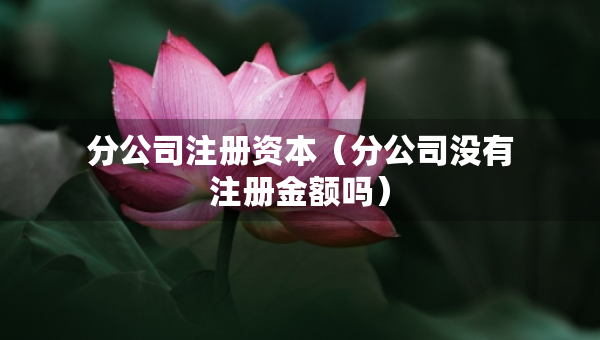分公司注冊資本（分公司沒有注冊金額嗎）