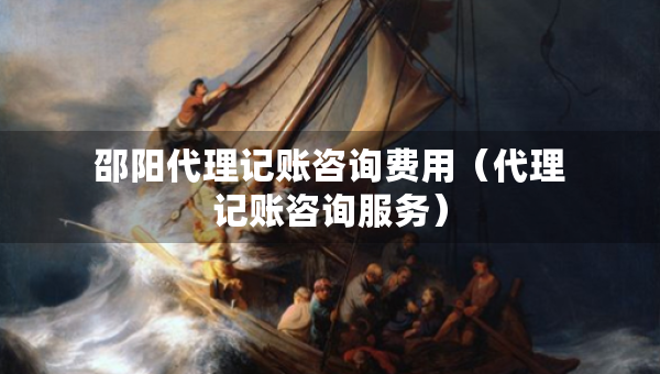 邵陽代理記賬咨詢費(fèi)用（代理記賬咨詢服務(wù)）