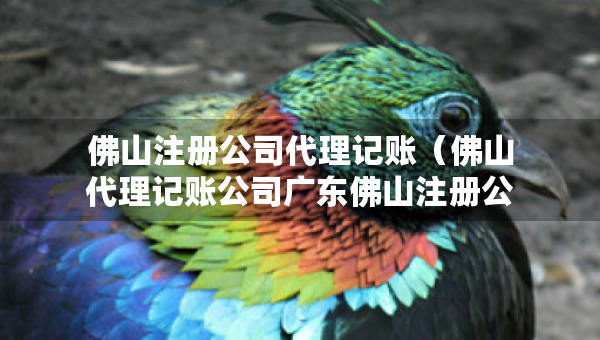 佛山注冊公司代理記賬（佛山代理記賬公司廣東佛山注冊公司費(fèi)用）