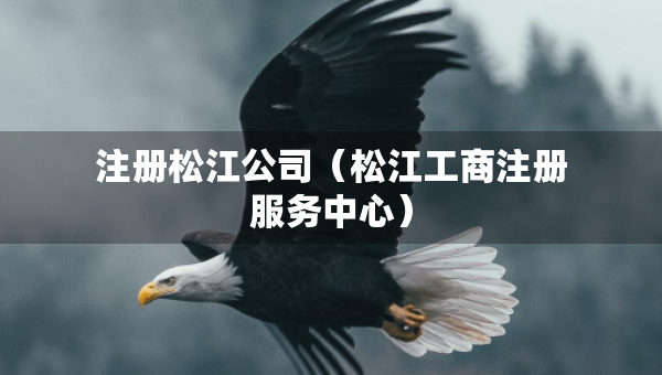 注冊松江公司（松江工商注冊服務(wù)中心）