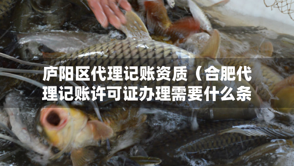 廬陽(yáng)區(qū)代理記賬資質(zhì)（合肥代理記賬許可證辦理需要什么條件）