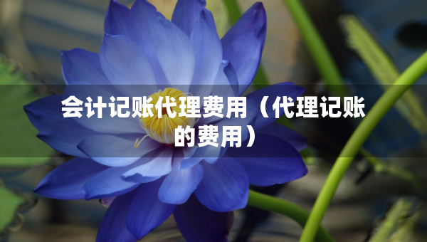 會(huì)計(jì)記賬代理費(fèi)用（代理記賬的費(fèi)用）