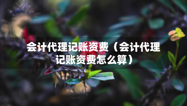 會計(jì)代理記賬資費(fèi)（會計(jì)代理記賬資費(fèi)怎么算）