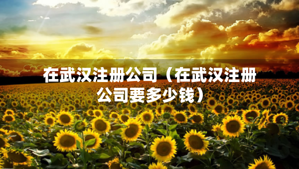 在武漢注冊(cè)公司（在武漢注冊(cè)公司要多少錢）