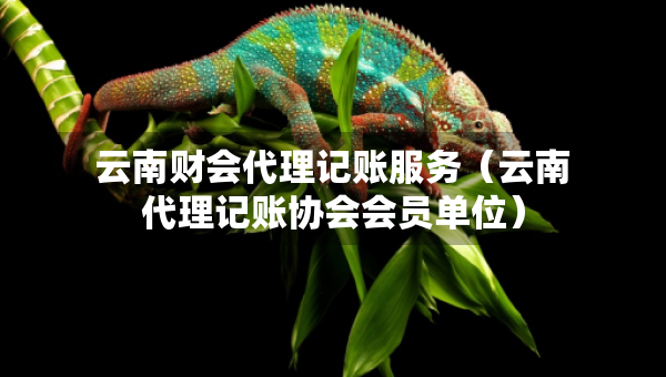 云南財會代理記賬服務(wù)（云南代理記賬協(xié)會會員單位）