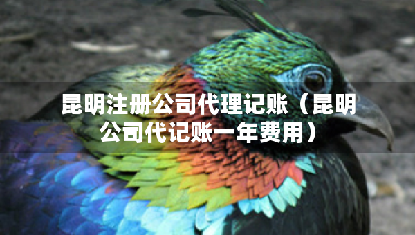 昆明注冊(cè)公司代理記賬（昆明公司代記賬一年費(fèi)用）