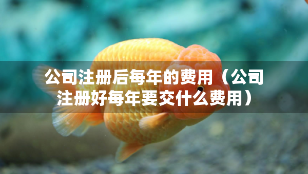公司注冊后每年的費(fèi)用（公司注冊好每年要交什么費(fèi)用）