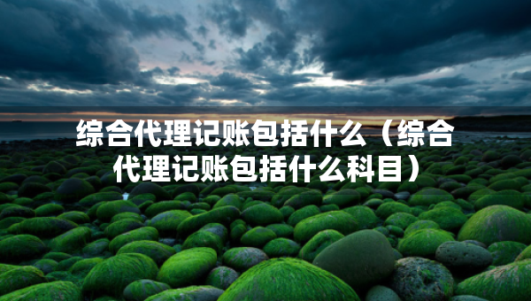 綜合代理記賬包括什么（綜合代理記賬包括什么科目）
