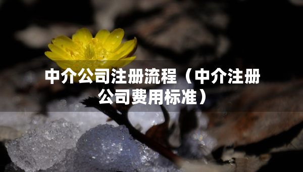 中介公司注冊流程（中介注冊公司費用標準）