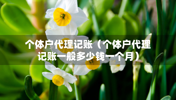 個體戶代理記賬（個體戶代理記賬一般多少錢一個月）