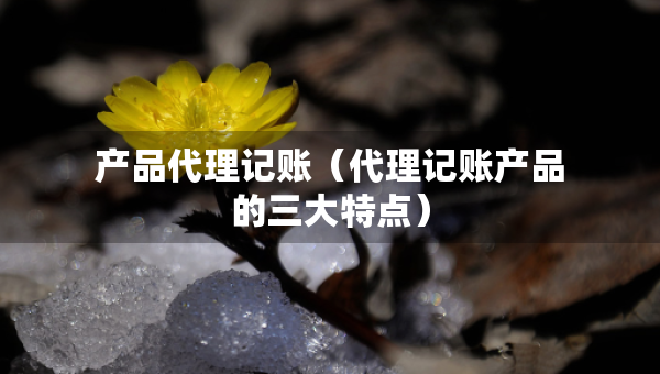 產(chǎn)品代理記賬（代理記賬產(chǎn)品的三大特點(diǎn)）