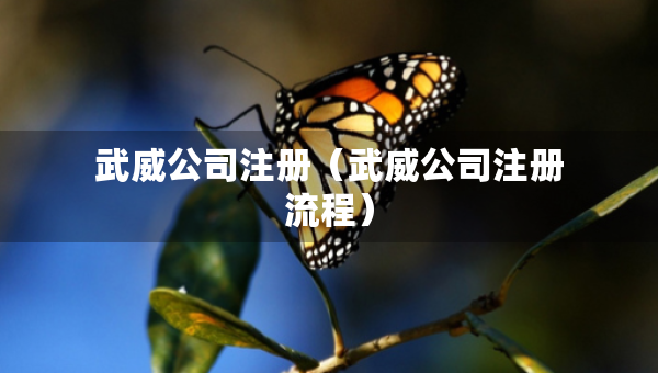 武威公司注冊（武威公司注冊流程）
