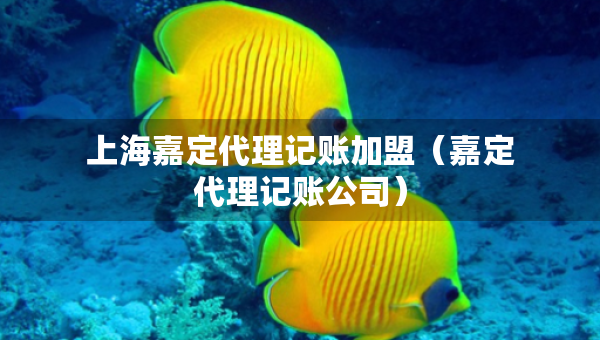 上海嘉定代理記賬加盟（嘉定代理記賬公司）